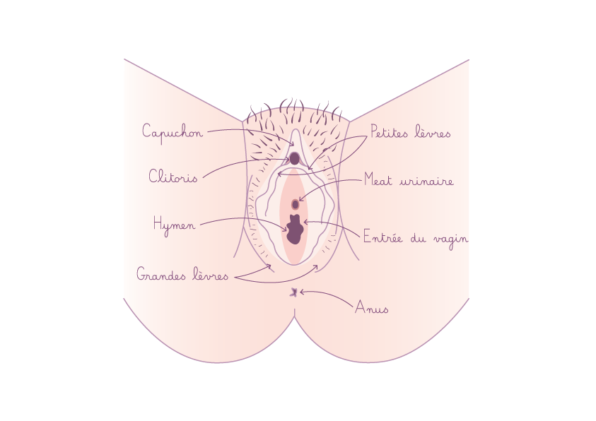 Quels sont les symptômes de la sécheresse vaginale ?