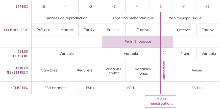 tableau activité des ovaires - secheresse-vaginale.fr